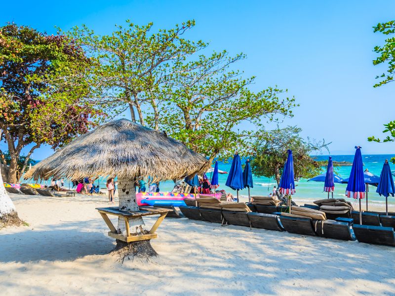 Bamboo beach