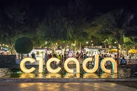 Cicada market