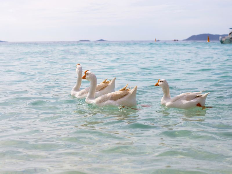 Tien Beach
